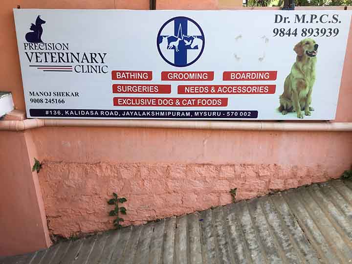 Precision Veterinary Clinic